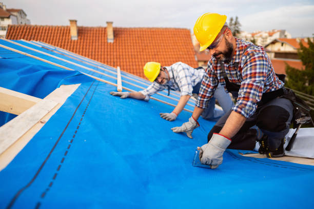 Gutter Replacement in Mount Vernon, AL